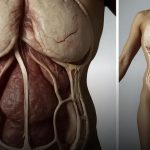 Como saber se estou com seroma da barriga? sinais e o que observar